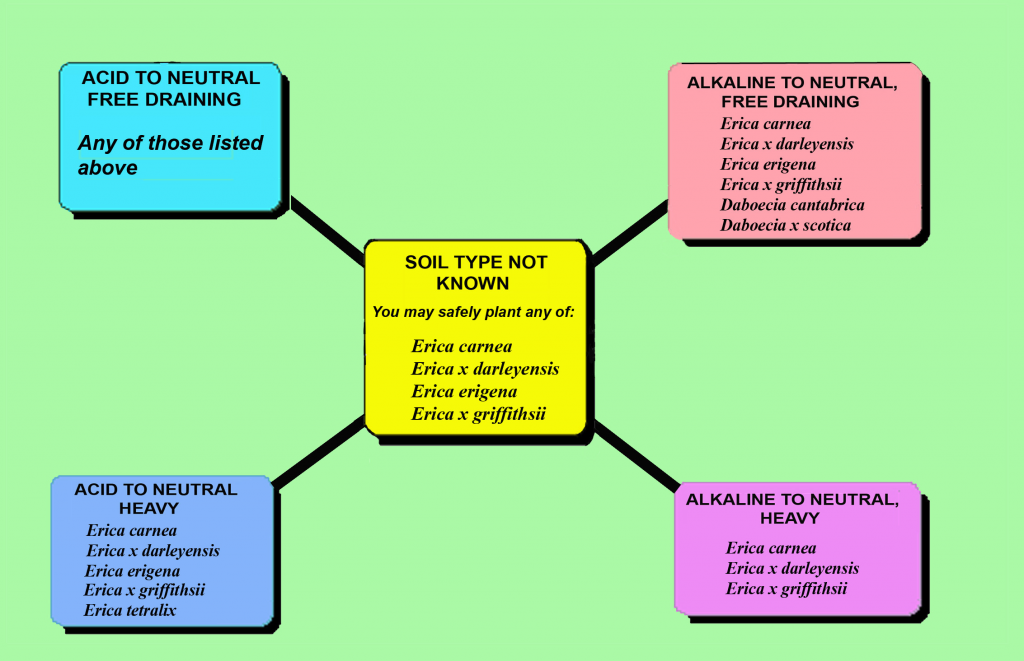 Heather Flowchart