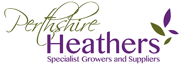 Perthshire Heathers
