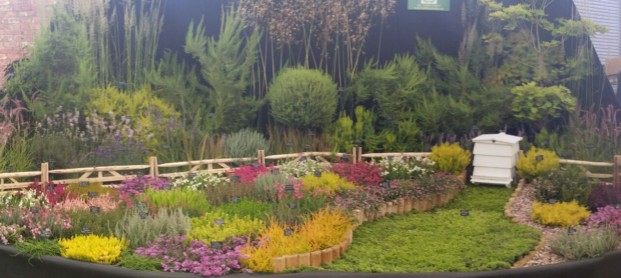 2016 Silver-Gilt for the Heather Society Display Hampton Court