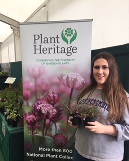 RHS Wisley Plant Heritage Show June 17th 2018